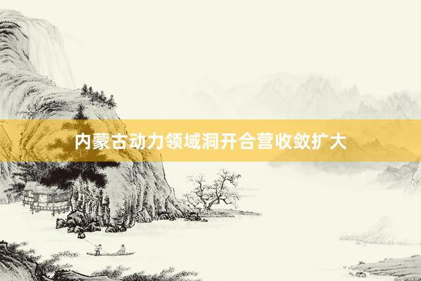 内蒙古动力领域洞开合营收敛扩大