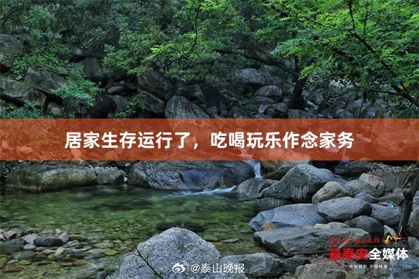 居家生存运行了,吃喝玩乐作念家务