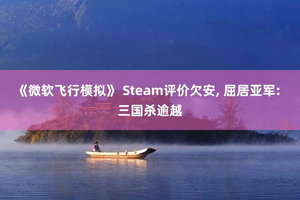 《微软飞行模拟》 Steam评价欠安, 屈居亚军: 三国杀逾越