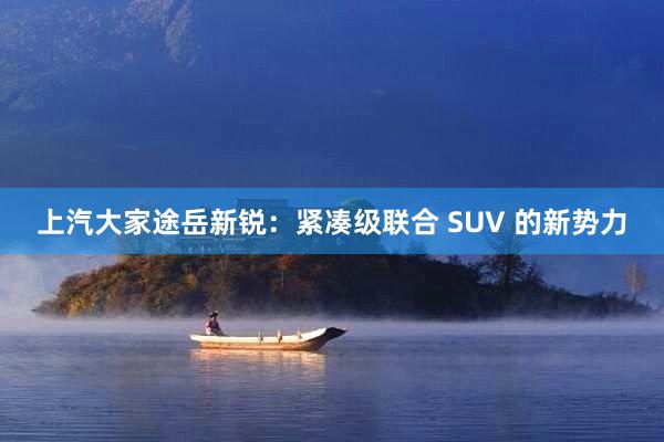 上汽大家途岳新锐：紧凑级联合 SUV 的新势力