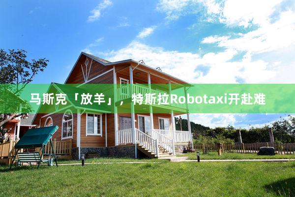 马斯克「放羊」，特斯拉Robotaxi开赴难