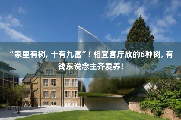 “家里有树, 十有九富”! 相宜客厅放的6种树, 有钱东说念主齐爱养!